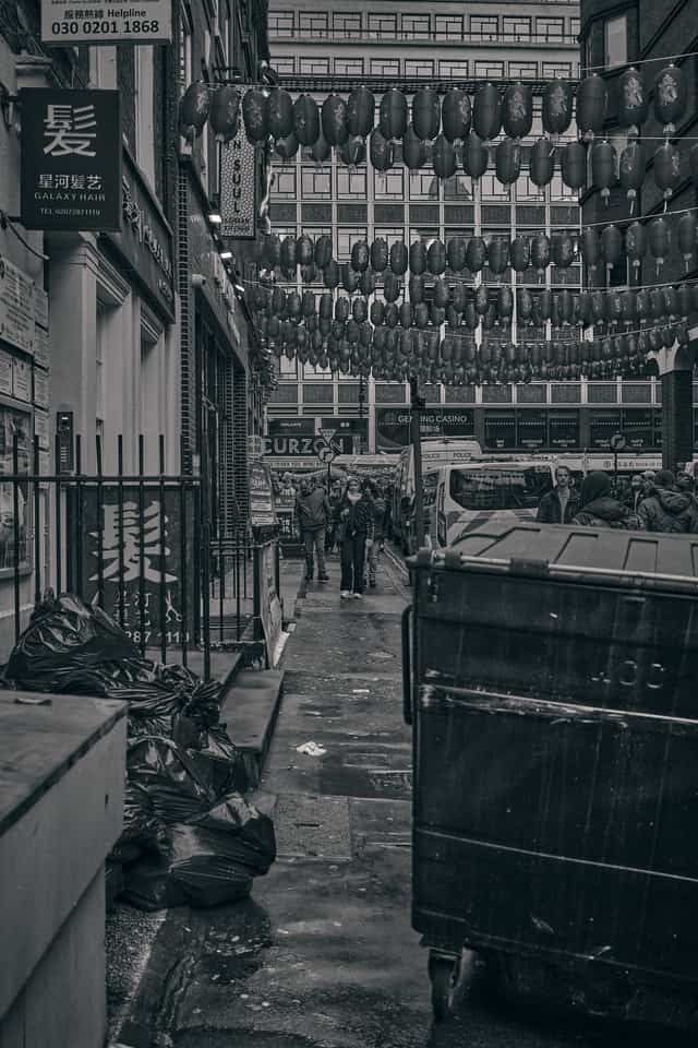 Trash amongst beauty